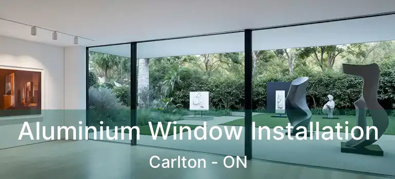  Aluminium Window Installation Carlton - ON