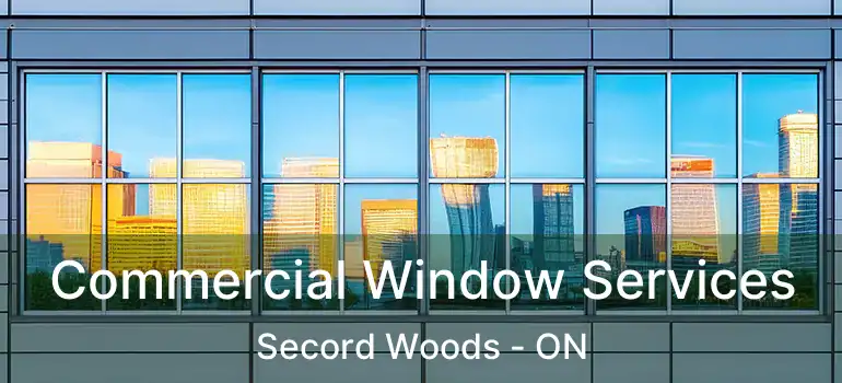  Commercial Window Services Secord Woods - ON