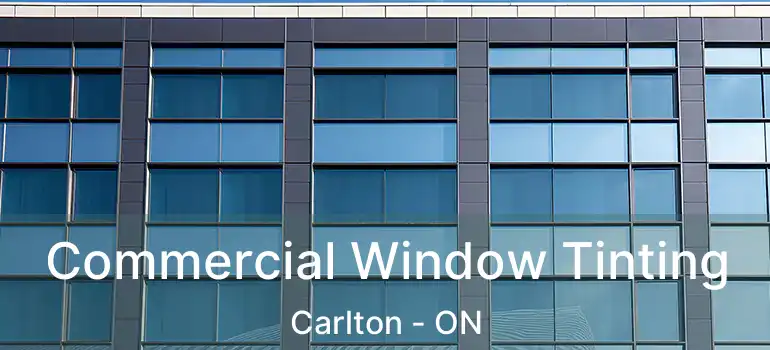  Commercial Window Tinting Carlton - ON