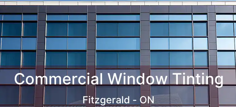  Commercial Window Tinting Fitzgerald - ON