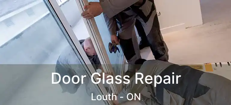  Door Glass Repair Louth - ON