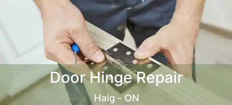  Door Hinge Repair Haig - ON