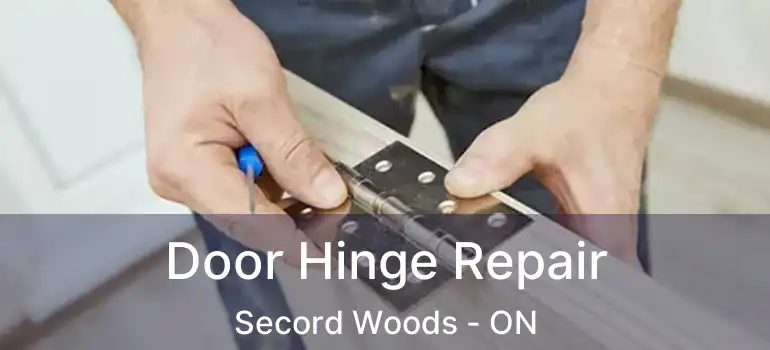  Door Hinge Repair Secord Woods - ON
