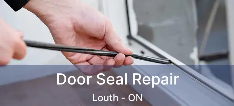  Door Seal Repair Louth - ON