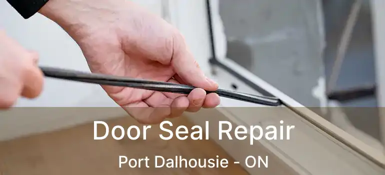  Door Seal Repair Port Dalhousie - ON