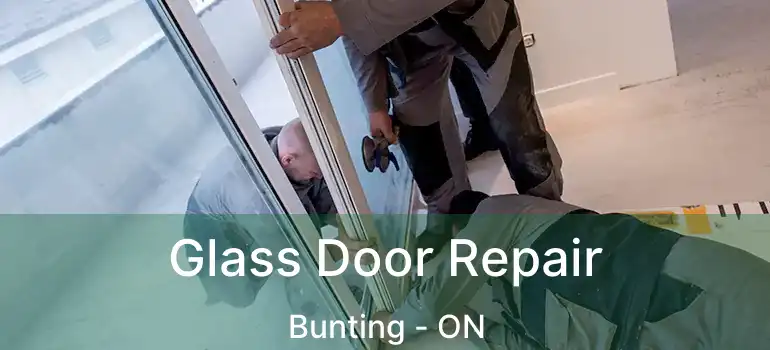  Glass Door Repair Bunting - ON