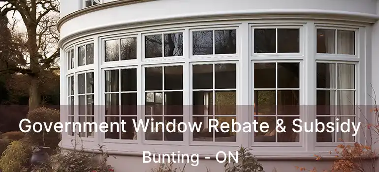  Government Window Rebate & Subsidy Bunting - ON