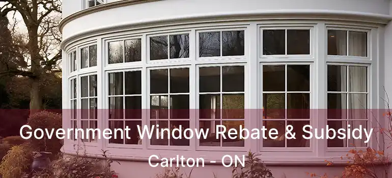  Government Window Rebate & Subsidy Carlton - ON