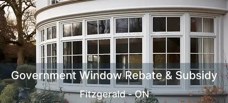  Government Window Rebate & Subsidy Fitzgerald - ON