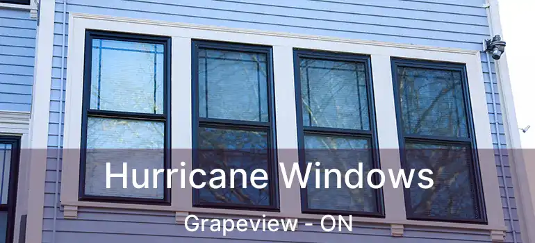  Hurricane Windows Grapeview - ON