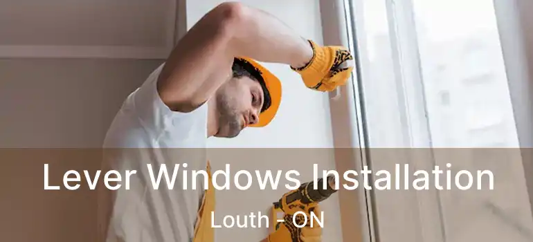  Lever Windows Installation Louth - ON