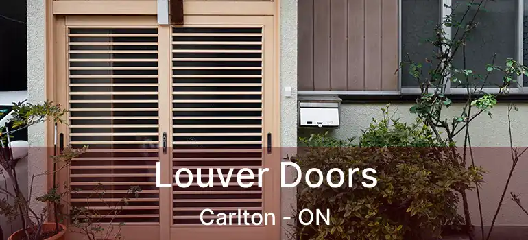  Louver Doors Carlton - ON