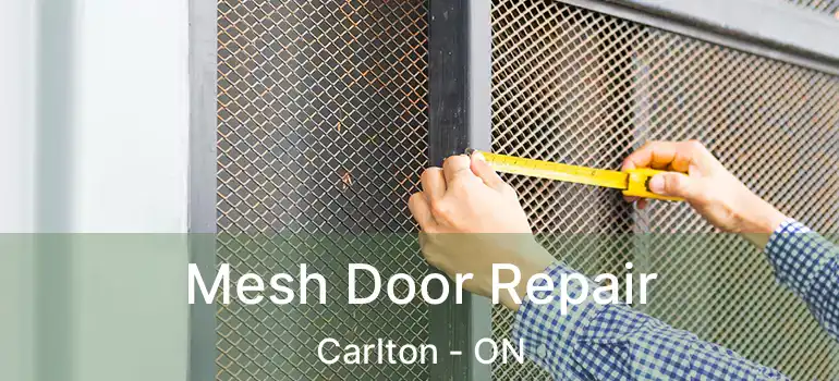  Mesh Door Repair Carlton - ON
