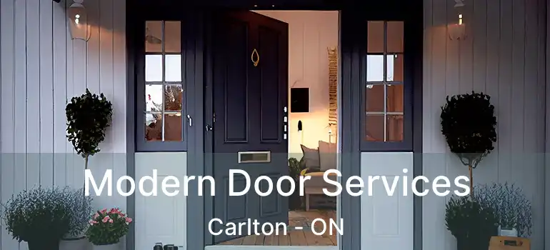 Modern Door Services Carlton - ON