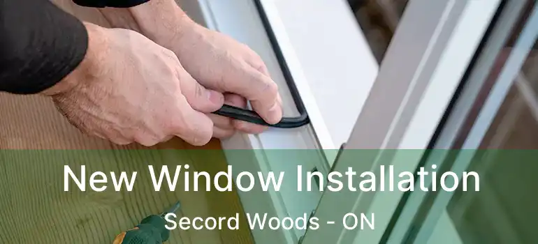 New Window Installation Secord Woods - ON