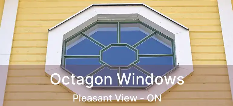  Octagon Windows Pleasant View - ON