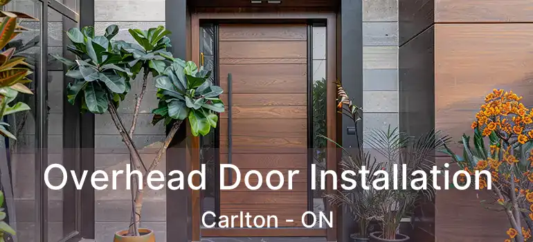  Overhead Door Installation Carlton - ON