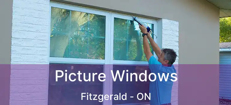  Picture Windows Fitzgerald - ON