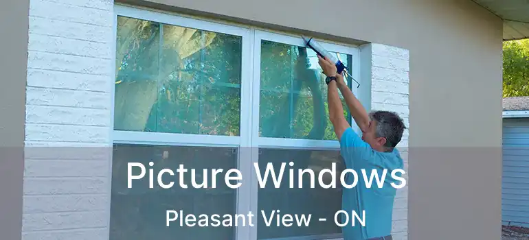  Picture Windows Pleasant View - ON