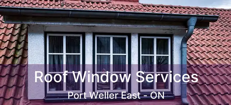  Roof Window Services Port Weller East - ON