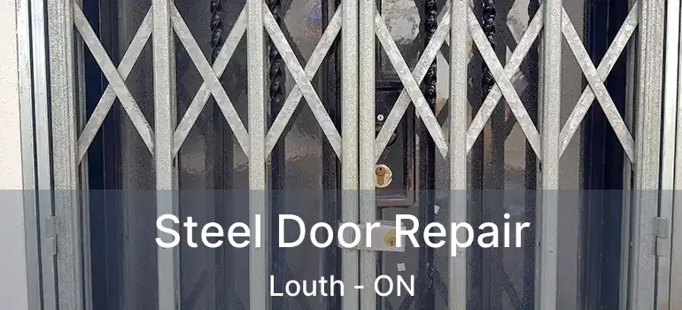  Steel Door Repair Louth - ON