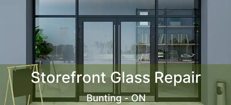  Storefront Glass Repair Bunting - ON