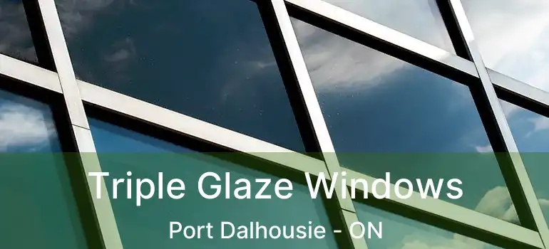  Triple Glaze Windows Port Dalhousie - ON