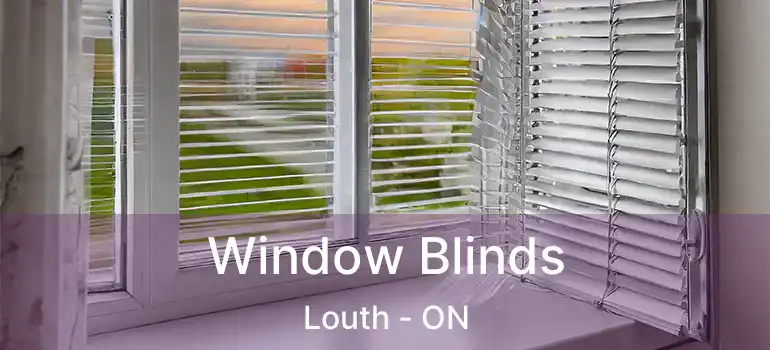  Window Blinds Louth - ON