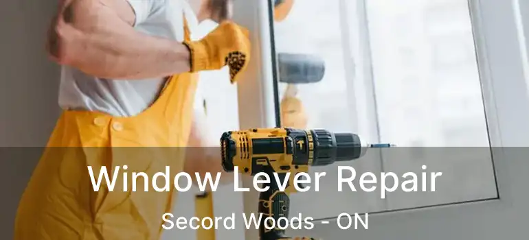  Window Lever Repair Secord Woods - ON