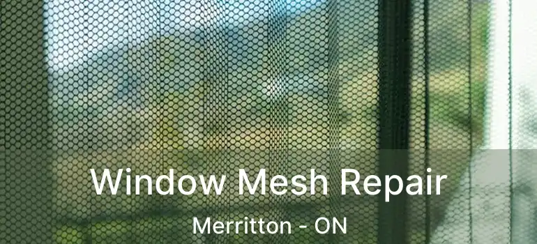  Window Mesh Repair Merritton - ON