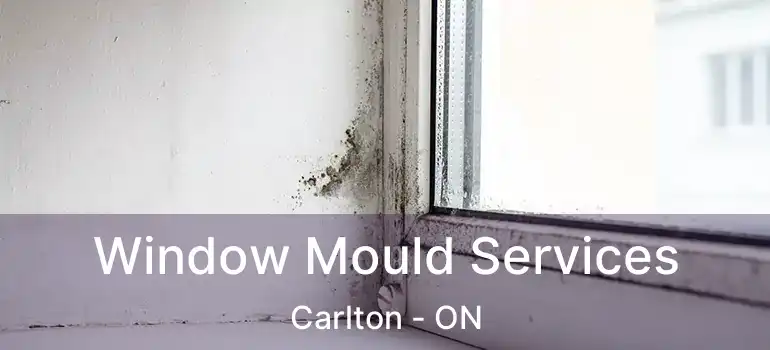  Window Mould Services Carlton - ON