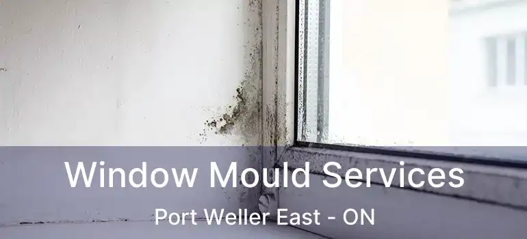  Window Mould Services Port Weller East - ON
