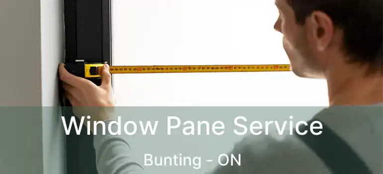  Window Pane Service Bunting - ON