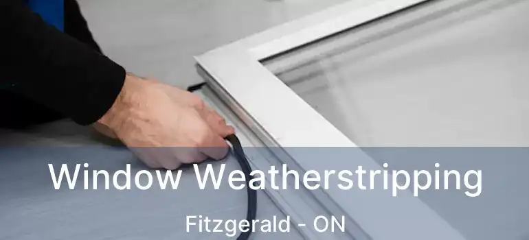  Window Weatherstripping Fitzgerald - ON